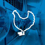 Icon Freezing Poultry